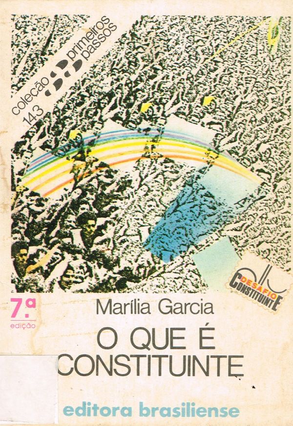 Que é Constituinte, O